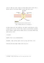 생물과학 ) 내막계에 관여하는 세포소기관과 물질대사 메커니즘에 대해 설명하라 (3)-9