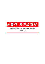서울주택도시개발공사 청년 체험형 인턴(전산) 자기소개서-1