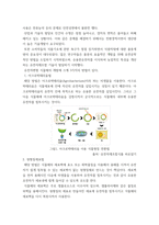 식품위생학 ) 유전자변형식품(Genetically Modified Organism, GMO)은 유전자변형기술을 이용하여 생산된 농산물과 그 농산물을 가공하여 만든 식품을 말한다   1) 유전자변형식품을 개발하는 방법에 대해 설명하시오-3