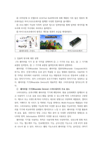 컴퓨터의이해 ) (가) 홈네트워킹과 스마트홈에 대하여 설명하라 (나) 메타버스에 대하여 설명하라 (다) 마이크로프로세서에 대하여 설명하라-4