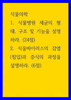 식물의학 ) 1 식물병원 세균의 형태, 구조 및 기능을 설명하라 2 식물바이러스의 감염(침입)과 증식의 과정을 설명하라-1