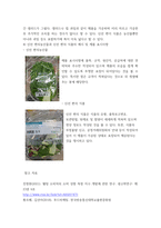 2푸드마케팅 =) 식품소비트렌드 중에서 웰빙소비, 편의중심소비, 가치소비의 개념을 설명하고 자신의 식품소비 특성을 설명하시오-6
