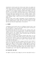 [무선인터넷] 무선인터넷의 개념, 특성, 종류, 차별성과 무선인터넷의 현황 및 향후 무선인터넷의 활성화 방안 분석-6
