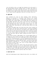 [법치주의] 법치, 법치주의이론, 법치주의개혁, 법형이상학, 법치행정 심층 분석-5