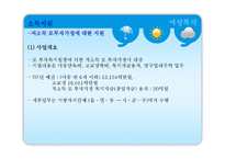 [사회복지] 여성복지-8