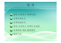 [정책학] 한강 르네상스 정책의 과정과 내용 분석-2