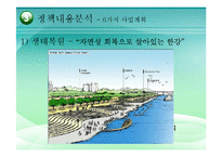 [정책학] 한강 르네상스 정책의 과정과 내용 분석-8