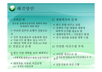 [정책학] 한강 르네상스 정책의 과정과 내용 분석-15