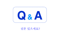 [정책학] 한강 르네상스 정책의 과정과 내용 분석-18