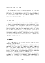 [광고의 성역할] 국내 TV 광고에 나타난 여성의 성역할-6