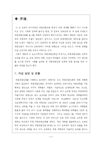 [정책분석론] 국립대 법인화를 둘러싼 논쟁과 그 해결방안에 관한 고찰-5