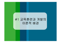 기업의 효과적인 인재육성 전략과 이론적 배경-4