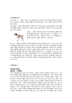 [국제광고] 중국 진출을 위한 해지스(HAZZYS)의 광고 전략-3