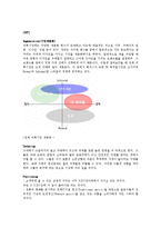 [국제광고] 중국 진출을 위한 해지스(HAZZYS)의 광고 전략-8