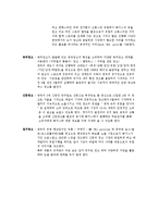 [국제광고] 중국 진출을 위한 해지스(HAZZYS)의 광고 전략-12