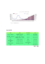 [국제광고] 중국 진출을 위한 해지스(HAZZYS)의 광고 전략-13