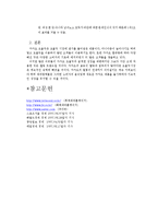 [마케팅전략] 롯데제과(주) 드림 카카오 초콜릿 마케팅전략-12