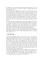 [디지털화, 디지털방송] 디지털화에 따른 방송의 변화(디지털방송, 방송의 디지털화, 디지털시대의 방송), 유형, 특징, 경영 전략 분석-7