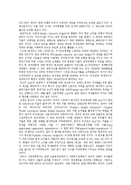 [여성정책] 여성정책의 변천, 대상, 실태와 외국의 여성정책 사례를 통해 본 향후 여성정책 대안 모색-9