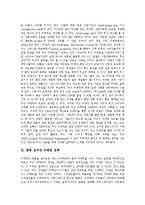 [인터넷마케팅(인터넷광고)] 인터넷마케팅(인터넷광고)의 유형, 특징, 성격과 인터넷마케팅(인터넷광고)의 방법, 도구 및 향후 인터넷마케팅(인터넷광고)의 전략 분석-12