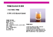 [칵테일의 모든것] 칵테일의 모든것-13