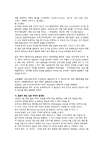 [사회 과학] 독도 영토 분쟁 분석과 한국의 대응-8