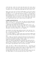 [사회 과학] 독도 영토 분쟁 분석과 한국의 대응-13