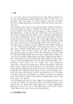 [인터넷방송] 인터넷방송의 개념, 특징, 영향력과 인터넷방송의 현황 및 향후 인터넷방송의 전망과 과제 분석-3