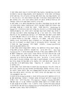 [인터넷방송] 인터넷방송의 정의, 특성, 분류, 현황과 인터넷방송의 장점, 문제점, 쟁점 및 향후 인터넷방송의 발전 방향 분석-7