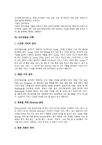 [인터넷방송] 인터넷방송의 정의, 특성, 분류, 현황과 인터넷방송의 장점, 문제점, 쟁점 및 향후 인터넷방송의 발전 방향 분석-9
