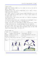 [단말기] 위치기반 서비스(LBS)와 텔레메틱스 산업 동향-5