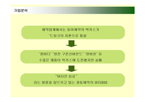 [마케팅] 광동제약 비타500의 마케팅전략 성공사례-3