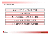 [마케팅] 미샤 성공전략-9