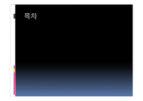 마케팅 성공사례-2