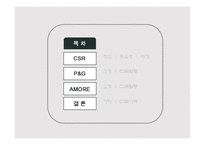 [기업윤리] p&g 아모레 퍼시픽 csr 기업사회적 책임-2