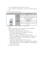 [국제경영사례] 팬택의 성공과 실패 그리고 새로운 도약-10