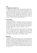 [경제학] 외환위기 이후 우리나라의 외국환평형기금채권(외평채) 현황과 운용상의 문제점-3