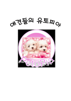 [사업계획서] 애견호텔-1