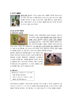 [일본문화] 일본의 명절-6