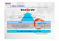 [광고분석] ktf 쇼 SHOW 매체별 광고분석-9