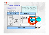 [광고분석] ktf 쇼 SHOW 매체별 광고분석-10