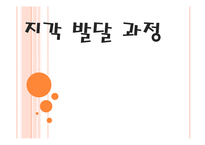 [인간심리] 지각 발달 과정-1