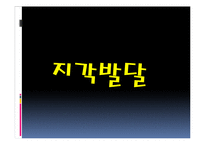 [인간심리] 지각 발달 과정-3