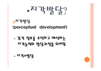 [인간심리] 지각 발달 과정-4