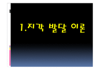 [인간심리] 지각 발달 과정-6