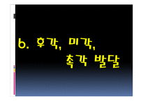 [인간심리] 지각 발달 과정-19