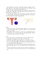 [결혼학] 피임 레포트-13