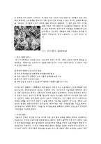 [사회학] 파시즘-3