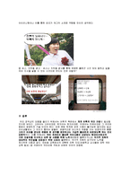 [국어정서법] 의미 영역의 오용과 지도법-13