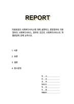 지방분권과 사회복지서비스에 대해 설명하고 중앙정부와 지방정부의 사회복지서비스 정부와 민간의 사회복지서비스의 역할분담에 관해 논하시오-1